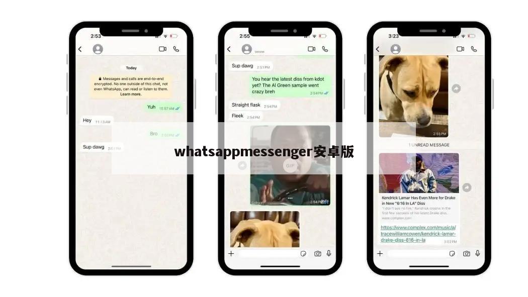 whatsappmessenger安卓版