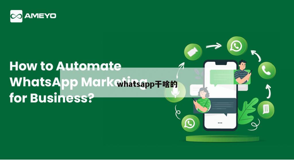 whatsapp干啥的